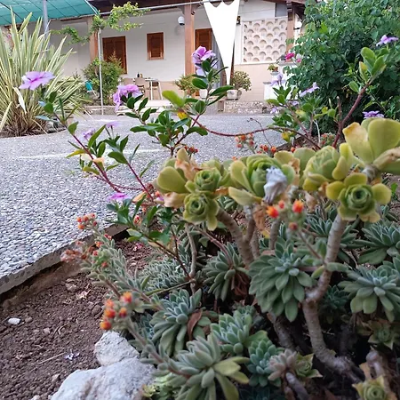 Il Giardino Di Sofia Charm And Comfort * Torre dell'Orso
