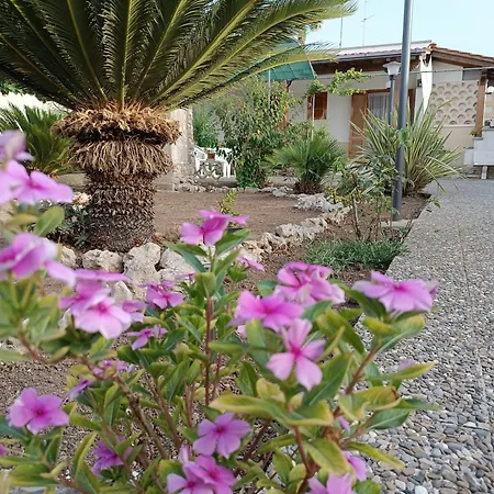 Il Giardino Di Sofia Charm And Comfort